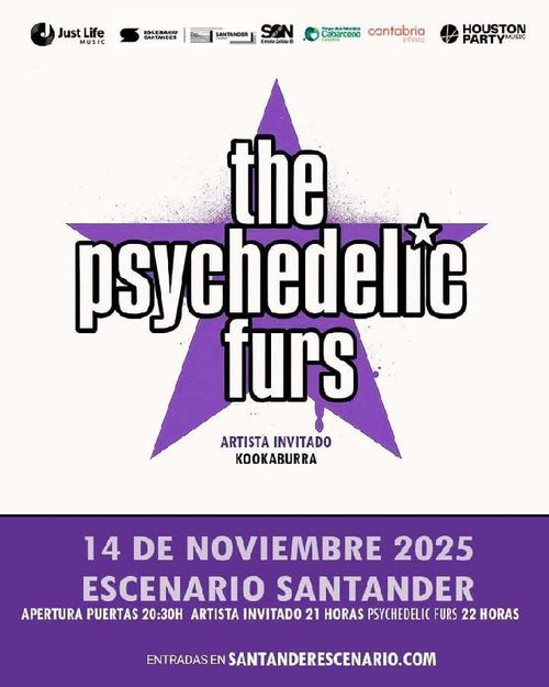 The Psychedelic Furs